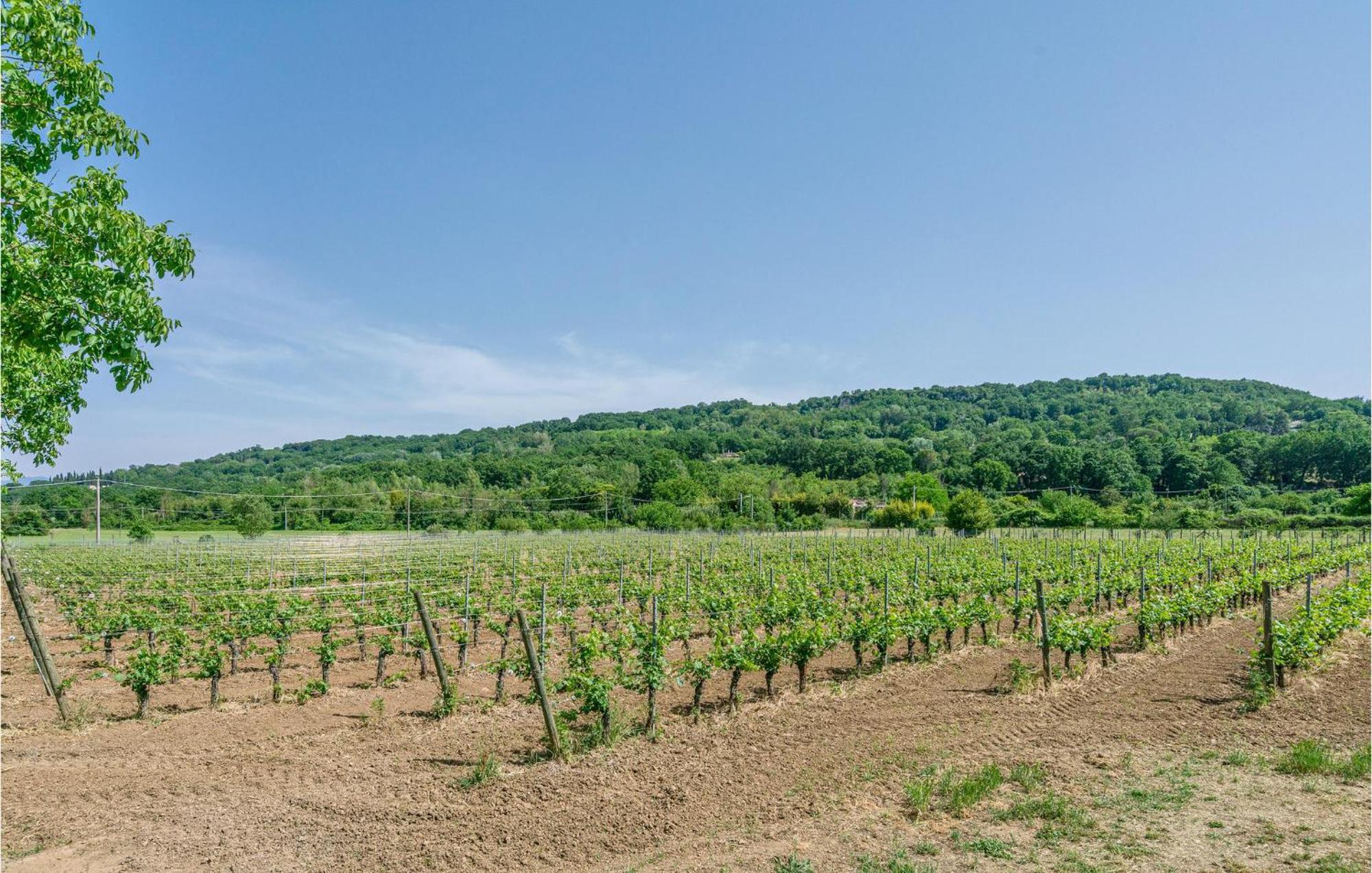 Lovely Home In Orte With House A Panoramic View Exterior photo